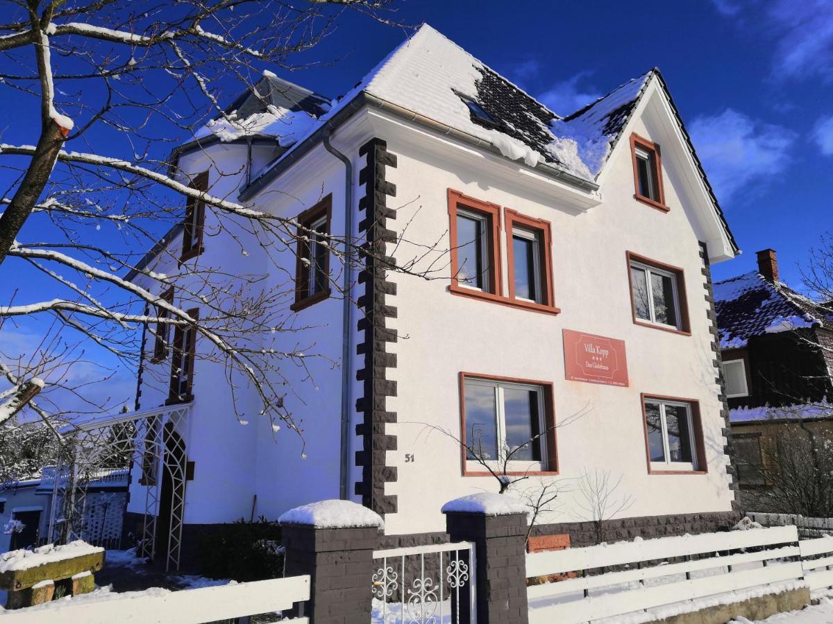 Villa Kopp-Das Gaestehaus Hopfingen 외부 사진